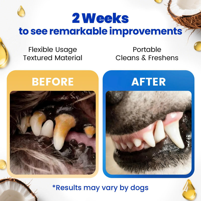 Dog & Cat Tooth Brushing kit - 60Ct Dog Toothbrush & Toothpaste Alternatives, Dental Care Wipes, Heavy Duty Teeth Cleaning, Remove Tartar & Plaque, Breath Freshener(Coconut) Coconut
