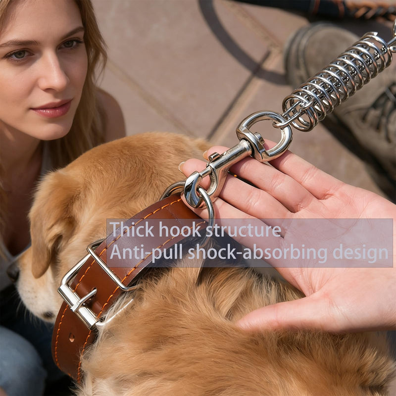 Braided Leather Leads for Dog, 4ft Length, Buffer Design?Heavy Duty Training Dog Leash for Large Medium Small Dogs (Black) BLACK - PawsPlanet Australia