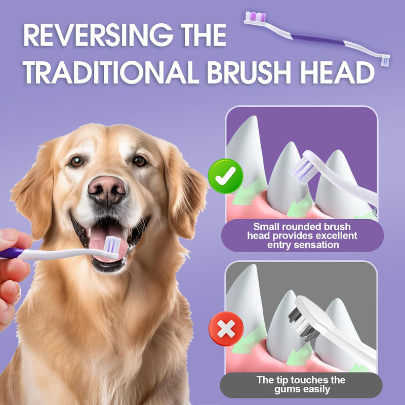 Dog Toothbrush - Dual Head Dog Tooth Brush Newly Upgraded 60° Wavy Brush Head - Surrounds Teeth Like a Cloud for Dog Dental Care and Cleaning-Suitable for Large/Medium Dogs Purple 1 Count (Pack of 1) - PawsPlanet Australia
