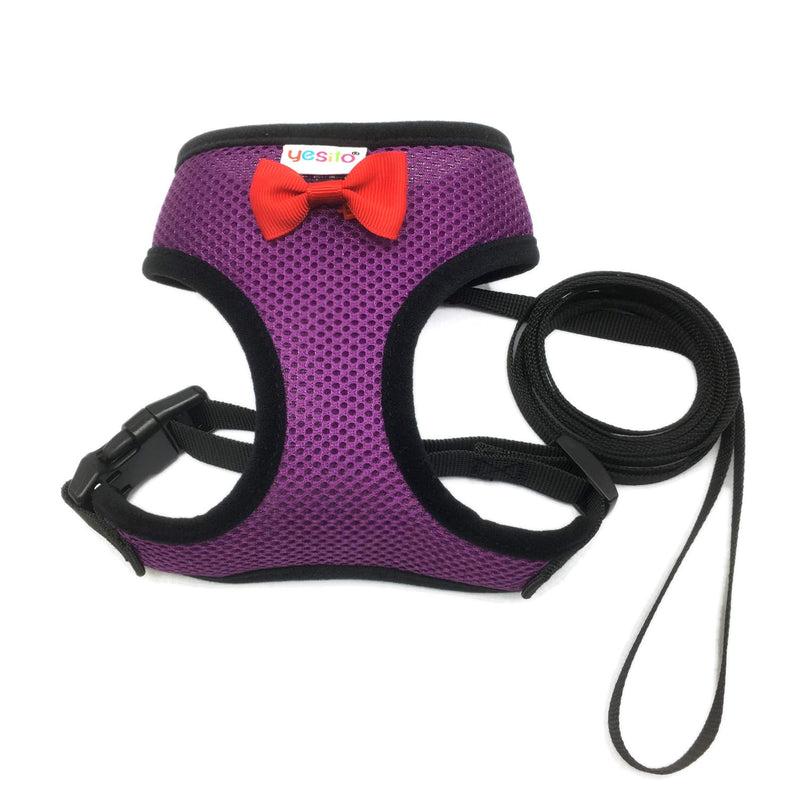 Chicken Harness Hen size With 6-foot Matching belt, Comfortable, Breathable, Small Size, Suitable for Chicken, Duck or Goose Suitable for Weight about 2.3-3.8Pounds, Orange (Small, Dark purple) - PawsPlanet Australia