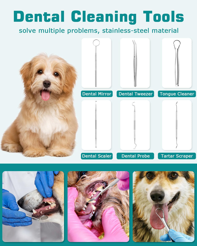 Dog Teeth Cleaning Kit 12-in-1, Pet Ultrasonic Canine Plaque Remover for Teeth with LED Light, 5 Cleaning Mode, USB Charge Dog Toothbrush Tool with Dental Tools Scaler Scraper Black - PawsPlanet Australia