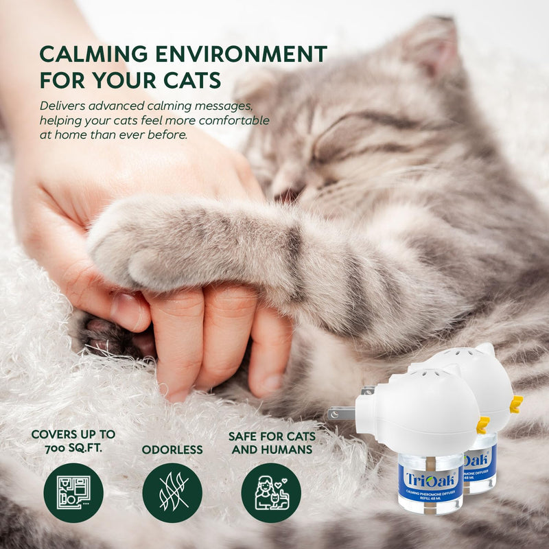 Cat Pheromones Calming Diffuser: Premium Cat Calming Diffuser - Cat Pheromone Diffuser - Pheromone Diffuser to Calm Cats - Cute Bear Head Shape Feline Pheromone Diffuser, 2Pack Olive Green