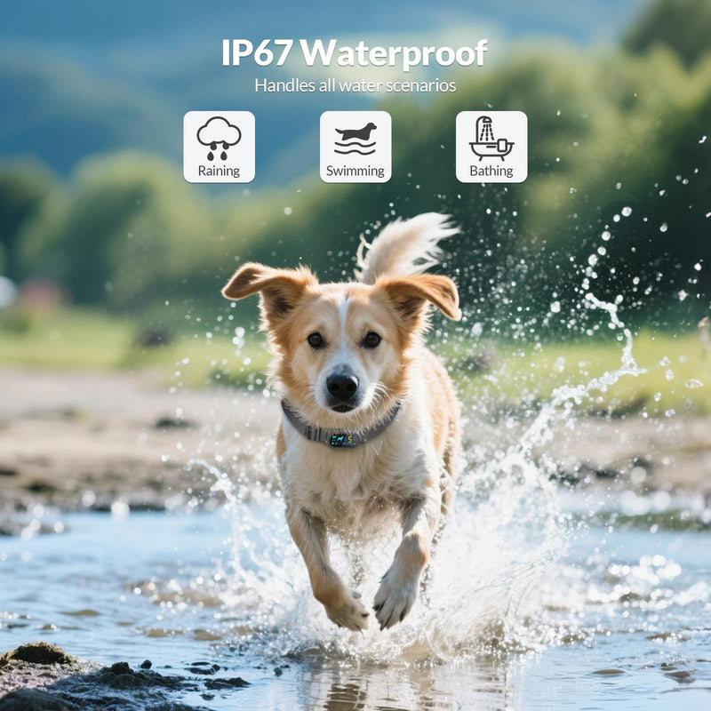 Dog Bark Collar, Waterproof Rechargeable Shock Collar for Small Dogs, Smart Training Collar with 5 Sensitivity Levels and 4 Adjustable Beep Vibration Safe Shock Modes - PawsPlanet Australia