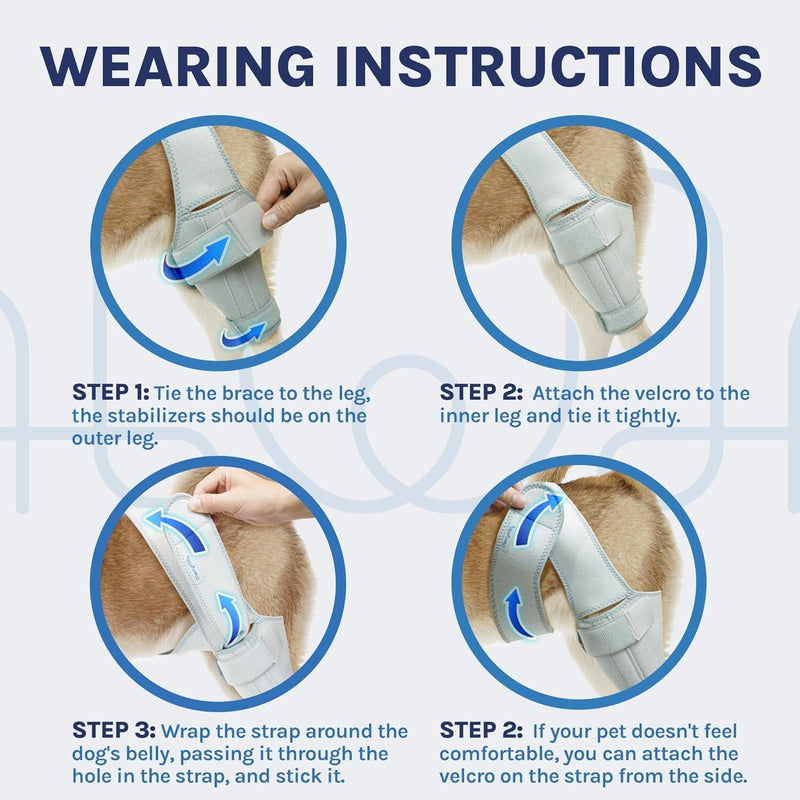 Dog Knee Brace for Torn ACL – Rear Leg Support for Ligament Injuries and Joint Pain Relief, Size: Large(10.2-13.3)