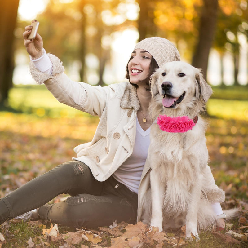 Dog Collar Flowers, 6 Pcs Dog Bows for Large Dogs Puppy Small Medium Big Cat Alpaca Rabbit Pet Dogs Collar Accessories Pet Neck Bows Sliders Grooming Collars Attachment - PawsPlanet Australia