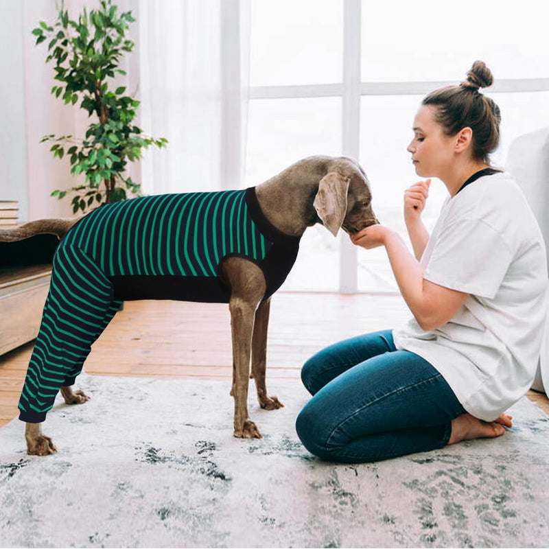 Kuoser Dog Recovery Suit, Anti Licking Dog Rear Leg Sleeve, Abdominal Dog Surgical Suit with Pants Cover Protect Wounds, Dog Elbow Protector Soft Dog Surgery Onesie Cone Alternative, Green XL X-Large (Back Length: 46CM / 18.11") Green Strips - PawsPlanet Australia