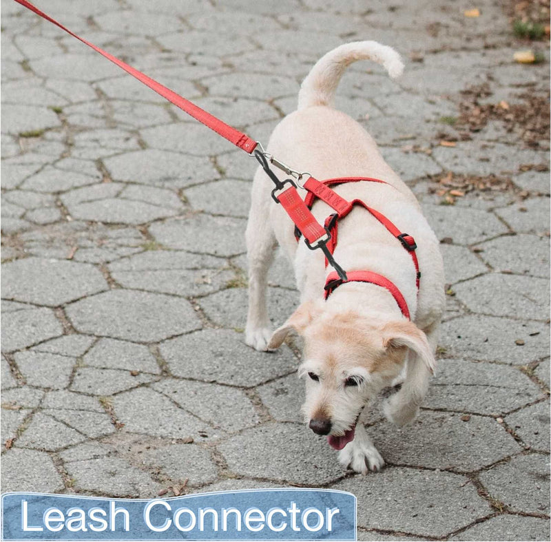Dog Collar Clip Dog Safety Leash Clip for Prong Collar Backup Dog Harness to Collar Safety Clip 5 pcs Reflective Dog Leash Connector Double Ended Backup Clasp - PawsPlanet Australia