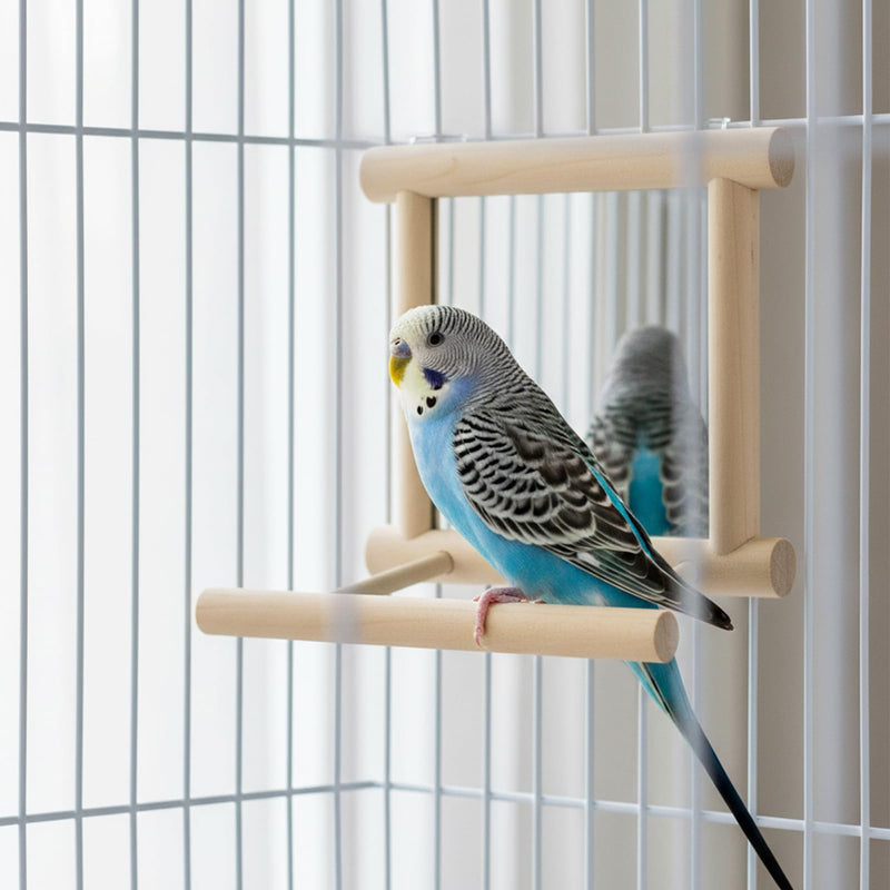 Hypeety Bird Parrot Mirror Toy Swing Hanging with Perch for Parrot Parakeet Budgies Cockatiel Conure Finch Lovebird (D) Wooden Mirror with Perch