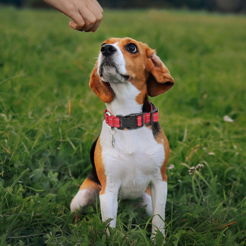 Reflective Martingale Dog Collars. Dog Collar with Quick Release Buckle. Adjustable Soft Padded Breathable Nylon Pet Collar Suitable for Puppies for Small Medium Large Dogs. M:1"Wind for 14.5"-19.5"Neck Red - PawsPlanet Australia