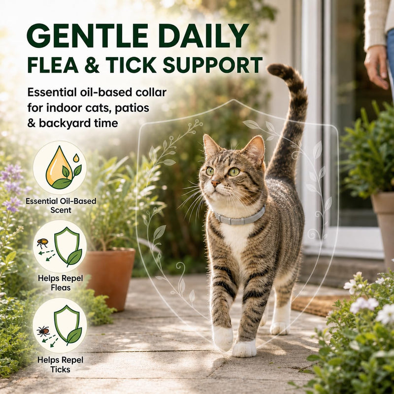 Flea Tick Prevention Collars for Cats: Essential Oil-Based Collar for 4 Month Support - Natural Fleas Ticks Breakaway Collar for Large & Small Cat, Outdoor Fleas Ticks Control for Kittens Gray