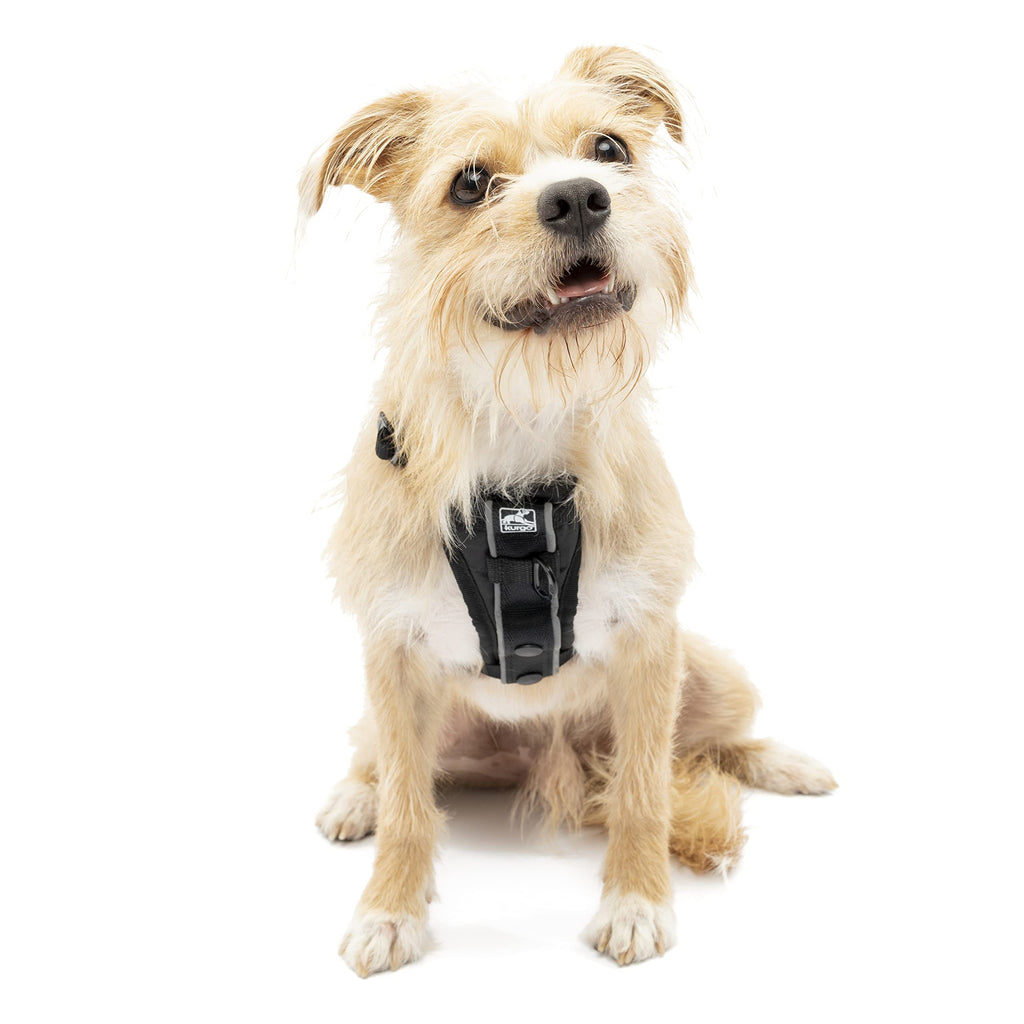 Kurgo Dog Harness | Pet Walking Harness | Small | Black | No Pull Harness Front Clip Feature for Training Included | Car Seat Belt | Tru-Fit Quick Release Style Small (Pack of 1)