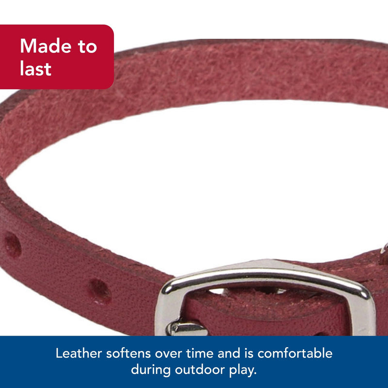 Coastal Pet - Circle T - Oak Tanned Leather Town Dog Collar, Red, 5/8" x 16" - PawsPlanet Australia
