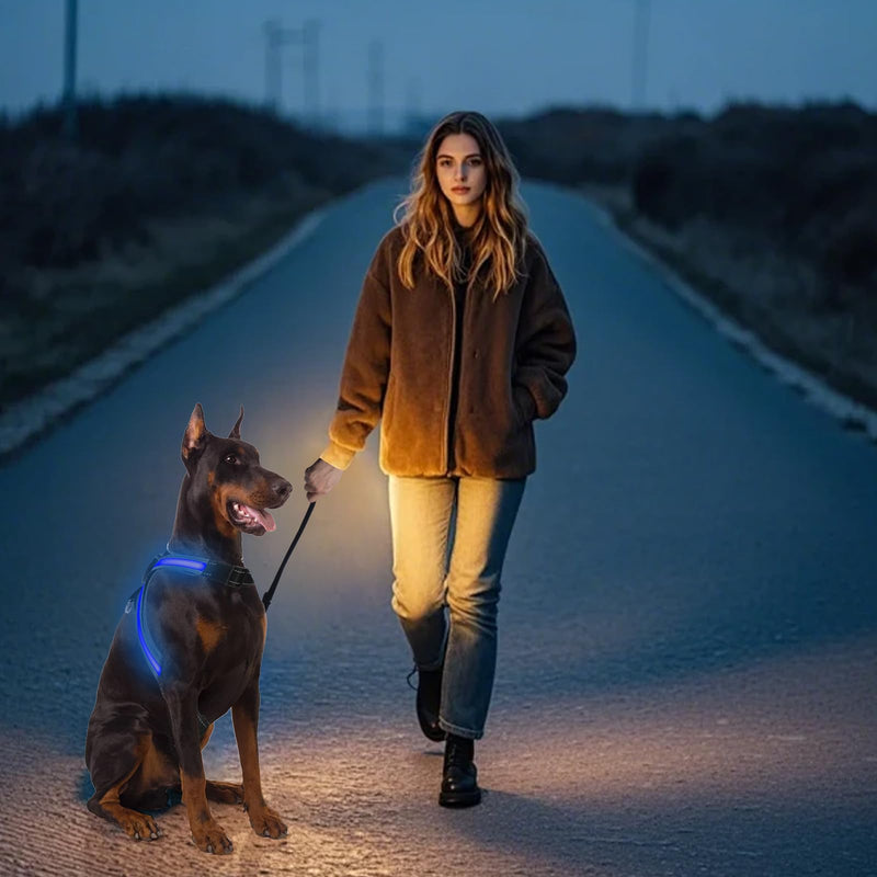 Light Up Dog Harness, LED Dog Harness-7 Lighting Modes, Rechargeable, Lightweight and Adjustable, Suitable for Small and Medium Dogs, Glowing Safety Vest for Nighttime Dog Walking - PawsPlanet Australia