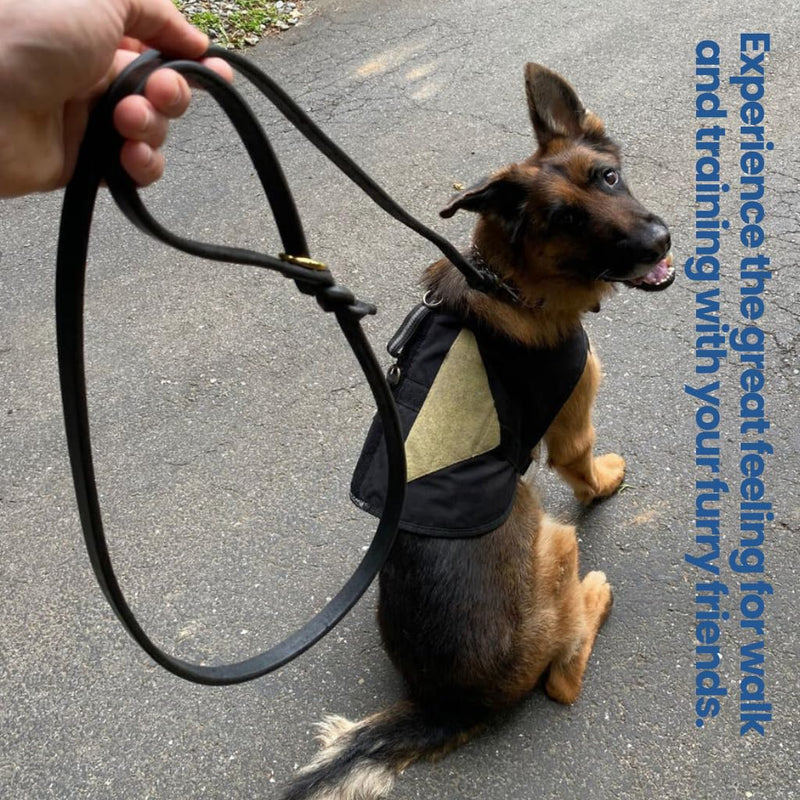 Dog Leash | Heavy Duty Leather Training Leashes, Solid Brass Connector Snaps and Two Rings (Dark Brown, 6 Ft) Dark Brown - PawsPlanet Australia