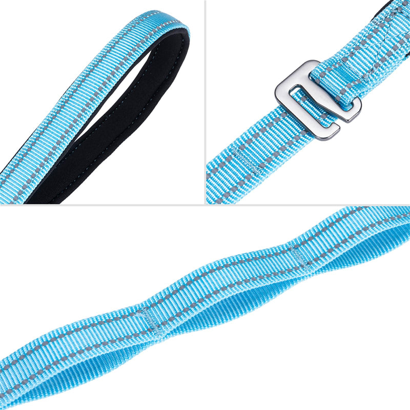 EXCELLENT ELITE SPANKER Double Layer Reflective Nylon Dog Leash Padded Handle 5 FT Nylon Dogs Leashes for Walking Training Lead for Small & Medium Dogs(Light Blue) 5ft * 3/4" Light Blue - PawsPlanet Australia