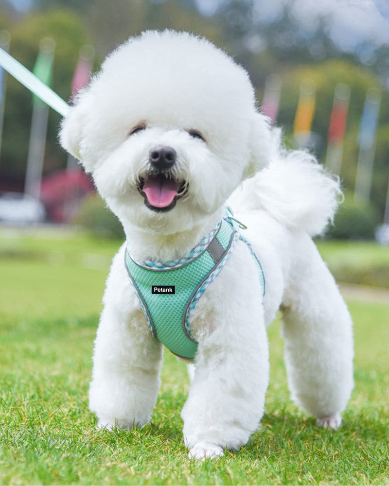 Petank Dog Harness for Small Medium Dogs No Pull, Puppy Harness and Leash Set, Step in Dog Harness for Walking, Running, Training, Small Dog Vest(Green, S) Green - PawsPlanet Australia