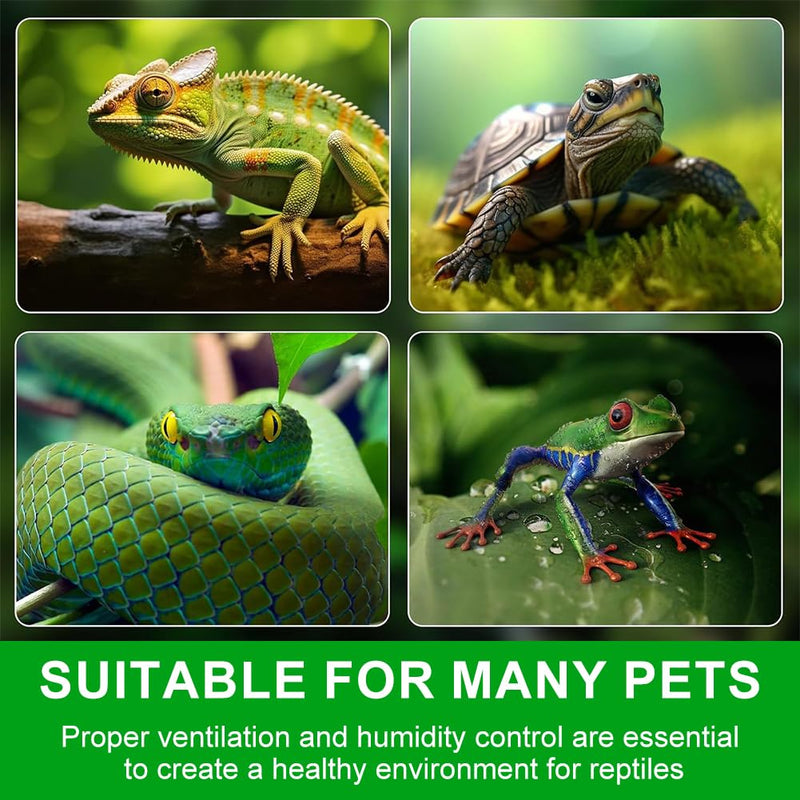 Reptile Ventilation Fan, LED Digital Thermometer and Humidity Gauge Dehumidifier for Pet Rearing Box Reptile Tank, with Humidity Sensor, for Humid Environments, Rainfo-Rest and Ecological Tanks - PawsPlanet Australia
