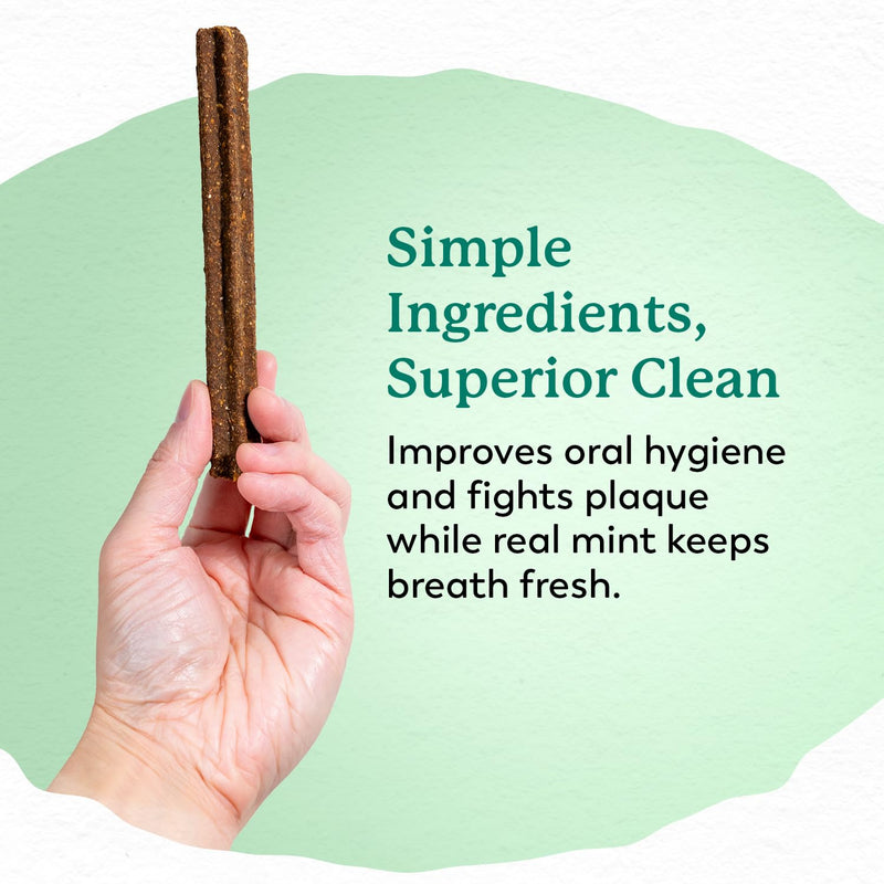 Dr. Harvey's Holistix Dental Chews for Dogs - Dog Teeth Cleaning & Fresh Breath Treats, Sweet Potato Mint (24 Sticks) - PawsPlanet Australia