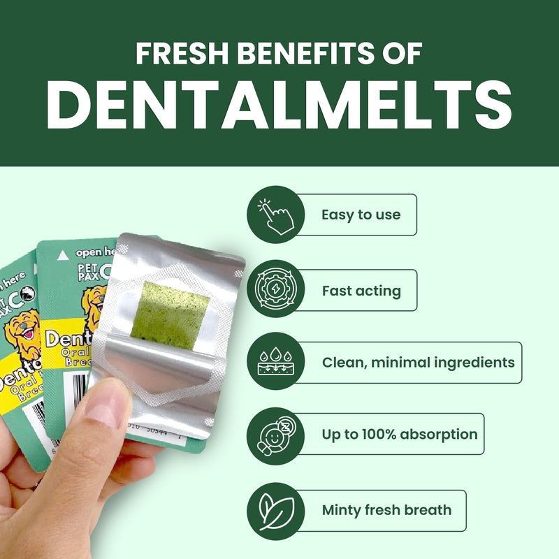Dog Breath Freshener 5 in 1 – 30 Oral Strips – Natural Sage, Spirulina, Apple Cider Vinegar – Dogs Dental Care Products, Fresh Breath & Oral Hygiene Support – No Chew Dog Breath Mints 30 Strips - PawsPlanet Australia
