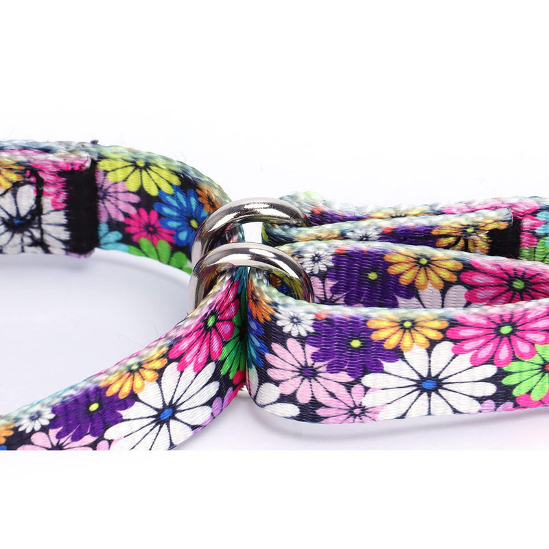 Heavy Duty Nylon Dog Collar, Adjustable Martingale Dog Collar for Walking Training Boy and Girl Dogs Medium Large Dogs (L:45-53CM, Strawberry Flowers) L:45-53CM - PawsPlanet Australia