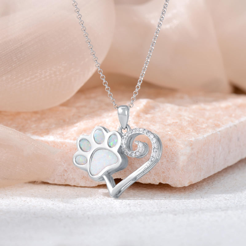 Urn Necklaces for Ashes 925 Sterling Silver Dragonfly/Pet Print Cremation Jewelry Keepsakes Memorial Gifts for Women Paw Print - PawsPlanet Australia