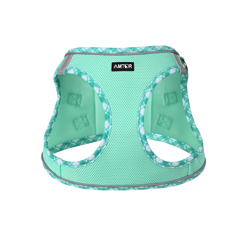 AMTOR Small Dog Harness with Leash Set, No Escape Easy Walk Puppy Harnesses for Training Walking, Step-in Reflective Soft Dogs Vest for XS S Medium Extra-Small Large Sized Dog(Green,S) Small(Chest:13"-15") Green - PawsPlanet Australia