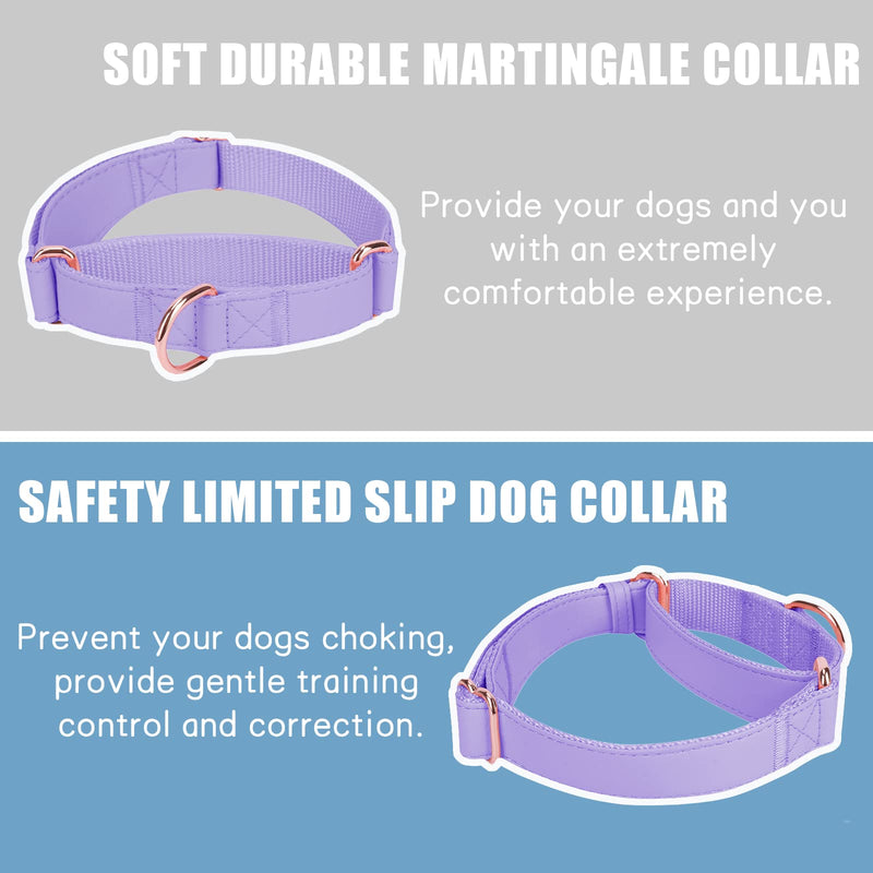 Soft Leather Martingale Dog Collar - Adjustable Rose Gold Limited Slip Collars [Easy to Clean], Stylish Durable Heavy Duty Nylon No Pull Training Collar for Small Medium Large Dogs M Purple M (Neck 14"-21", Width 1") - PawsPlanet Australia