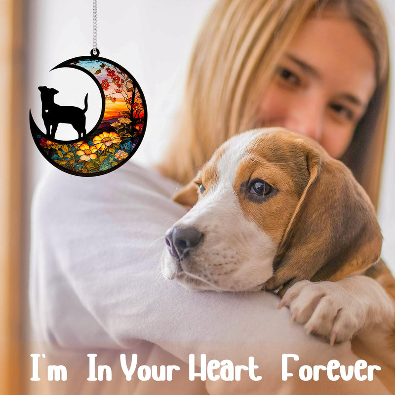 Dog Memorial Suncatcher,Pet Sympathy Gifts,Dog Memorial Gift for Loss of Dog,Personalized Dog Ornaments with Name Date for Pet Lovers A Design Dog - PawsPlanet Australia