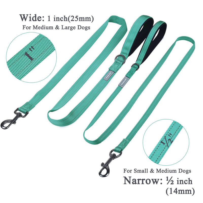 VIVAGLORY Dailyx Dog Leash, Puppy Leash for Training & Walking with Soft Padded Handle, Heavy Duty & Double Layer Nylon for Pet Puppy, 6ft x 1in, Green - PawsPlanet Australia