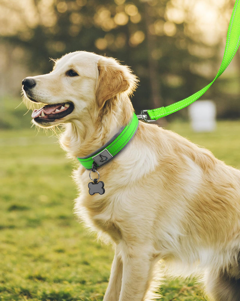 Joytale Dog Collar for Large Dogs, Neoprene Padded and Adjustable, Reflective Wide Heavy Duty Pet Collars with Durable Metal Belt Buckle for Walking, Green, L L: Width 1", Neck 19-23" - PawsPlanet Australia