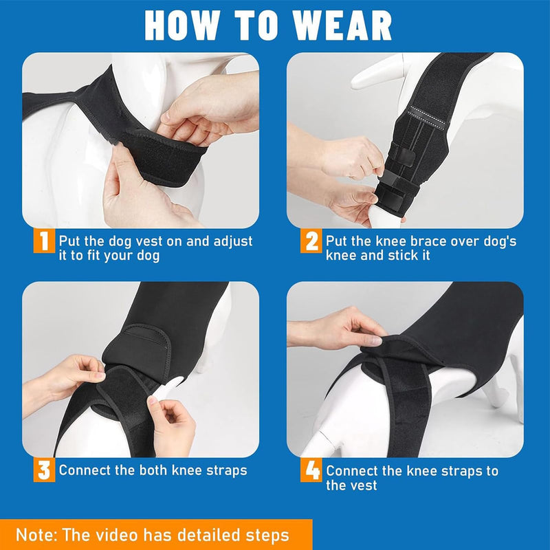 Dog Hip Bandage - Adjustable Knee Bandage with 4 Metal Stabilisers for Supporting the Hind Legs - for Hiking, Training, Outdoor Activities, Park, Travel, at Home black L