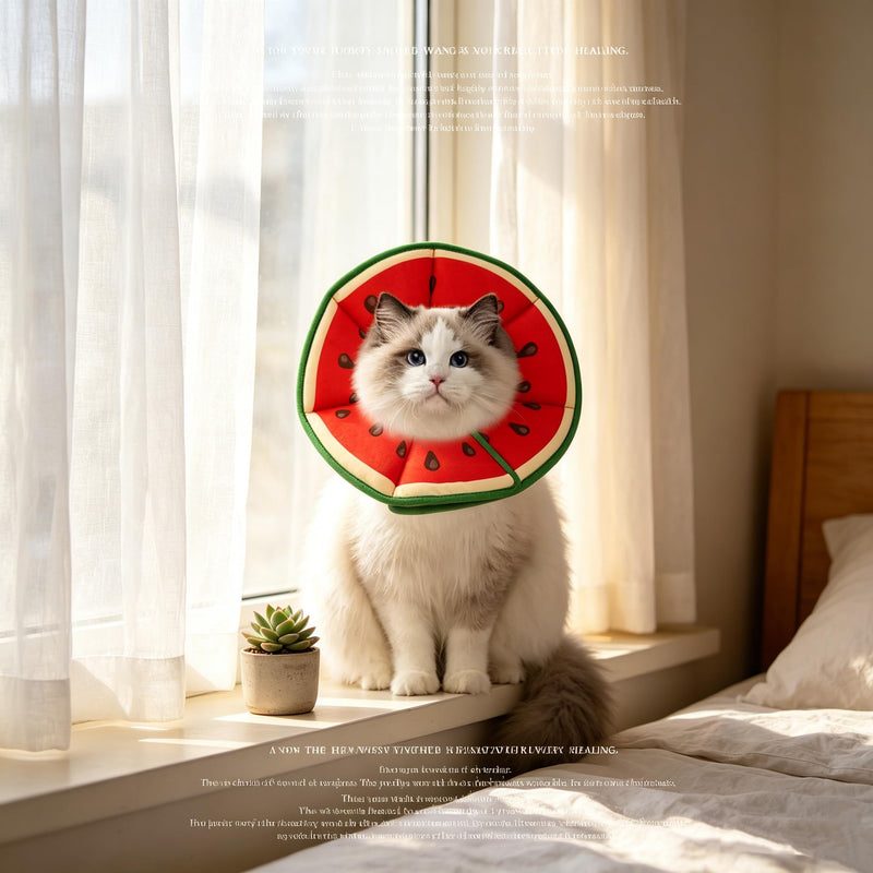 Soft Cat Cone Collar, Watermelon Shape Cat Recovery Collar to Stop Licking, Adjustable Cats Cones, Preventing Licking and Scratching After Surgery Is Suitable for Puppies and Cats to Recover(M)