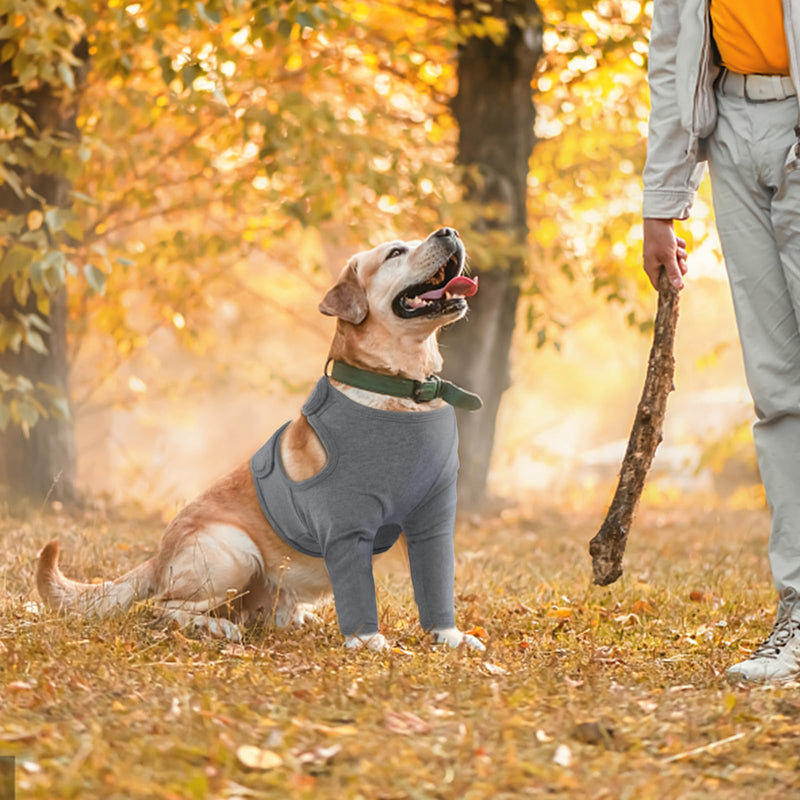 Dog Leg Recovery Sleeve, Dog Front Leg Elbow Protector, Dog Recovery Suit After Surgical Wound Protector to Prevent Licking Bite Cone Collars Alternative (Grey, 2XL) Grey - PawsPlanet Australia