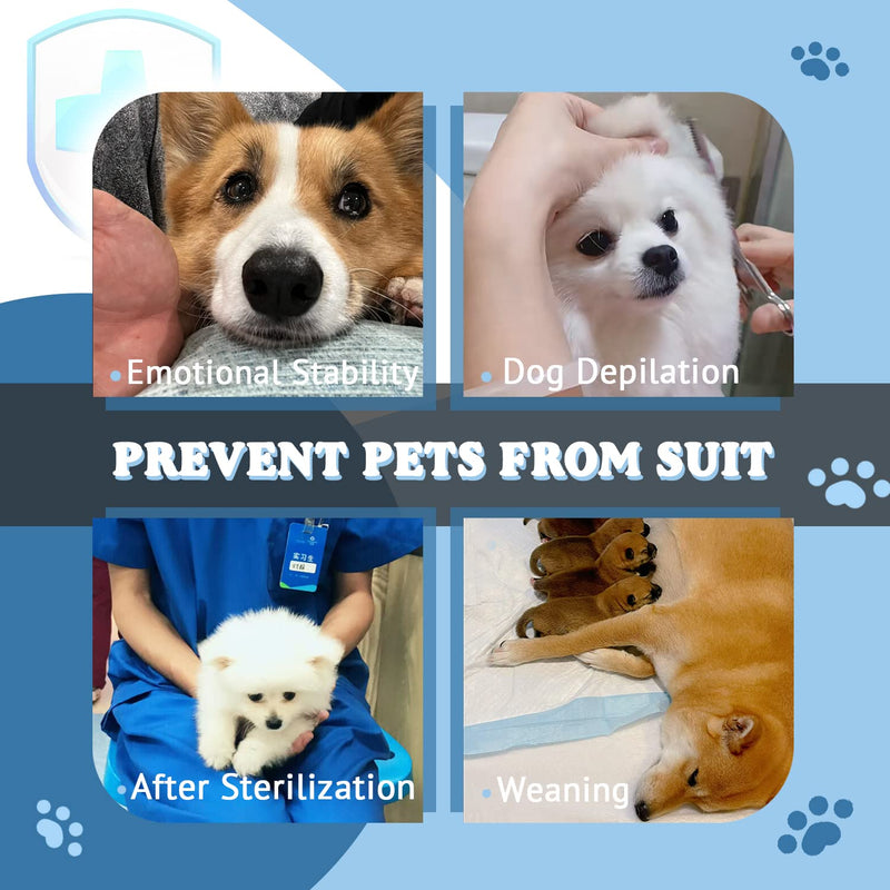 Breathable Dog Surgery Recovery Suit for Male/Female, Professional Dog Recovery Onesie with Zipper After Spay Abdominal Wounds, Anti Licking Cone E-Collar Alternative for Small Medium Large Dog Blue L【Back:17.7"—21.6" Weight:27—44LB】 - PawsPlanet Australia