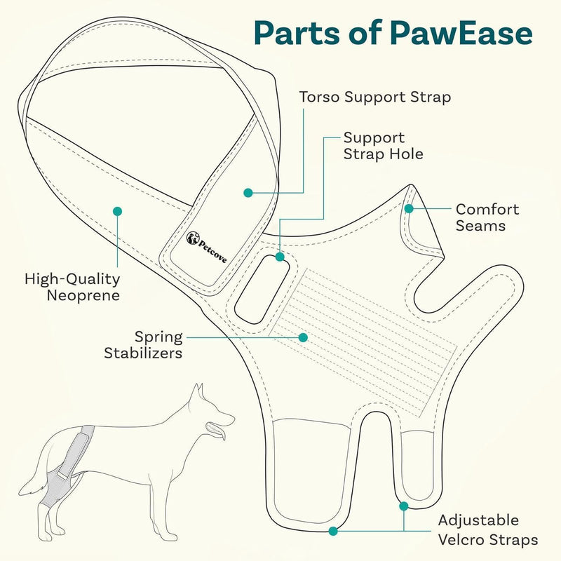 PetCove Dog Knee Brace for Torn Acl Hind Leg — Neoprene Compression, Spring Stabilizers, Belly Band Support Strap, Adjustable Velcro Fit, ACL/CCL, Arthritis, Front/Back Leg, Post-Surgery Recovery