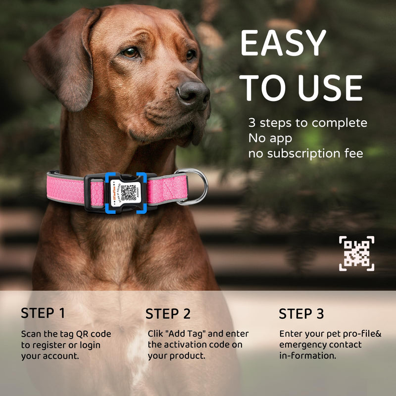 Personalized Dog Collar with QR Code tag for pet ID, Reflective Safety Collar, Suitable for Small, Medium, and Large Dogs (Pink, Large) Pink - PawsPlanet Australia