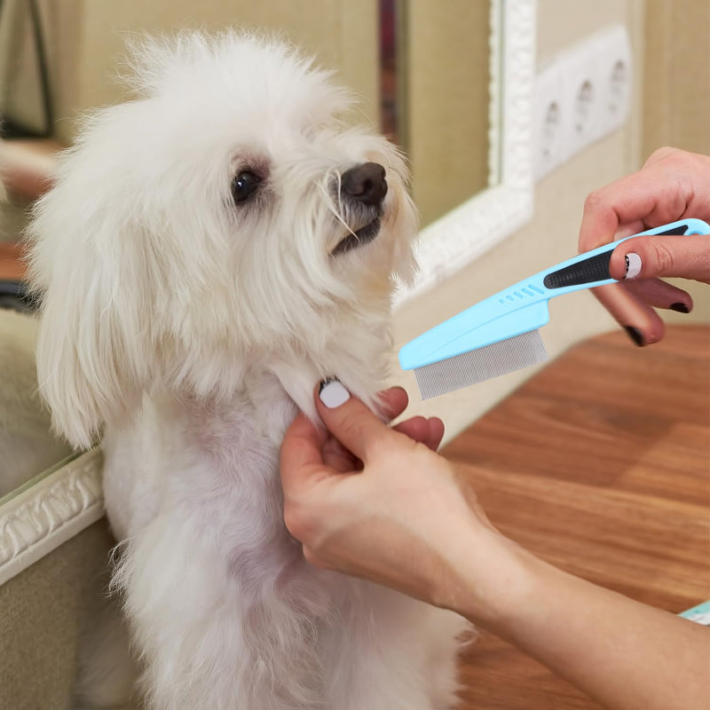 Flea Comb for Dogs and Cats, 2 Pcs Stainless Steel Fine Tooth Dog Hair Combs, Pet Grooming Comb for All Types of Pets Hair, with Ergonomic Rubber Handle, Health Benefits - PawsPlanet Australia