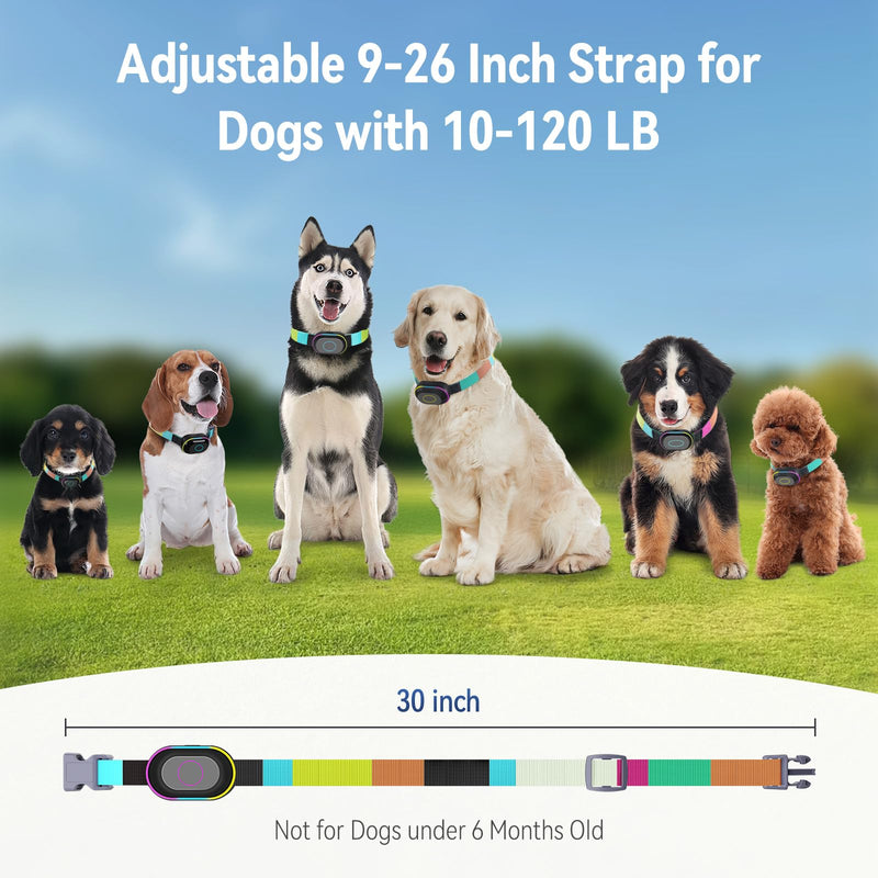 2-in-1 Dog Bark & Shock Collar with Remote Control, Waterproof Barking Collars for Small Medium Large Dogs, 3300Ft Training E- Collars, Rechargeable, Adjustable Beep Vibration Modes & 5 Sensitivity - PawsPlanet Australia