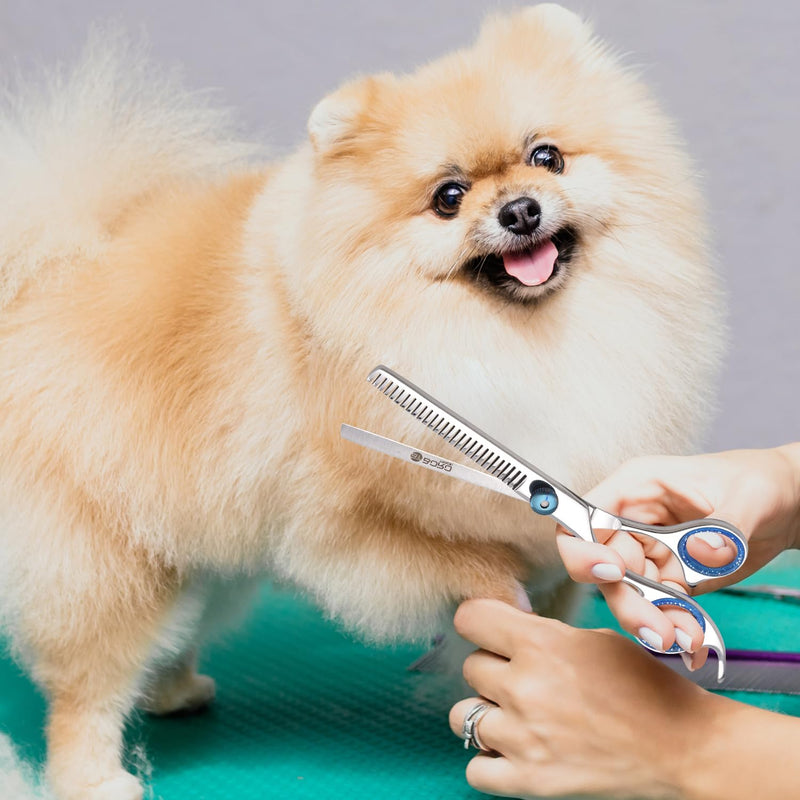 Professional Dog Grooming Scissors Kit Dog Scissors Set with Safety Round Tip, Curved Pet Cat Hair Cutting Trimming Grooming Shears, Also Include Thinning Scissor(Stainless Steel)(6 Inches)(2 Pieces)