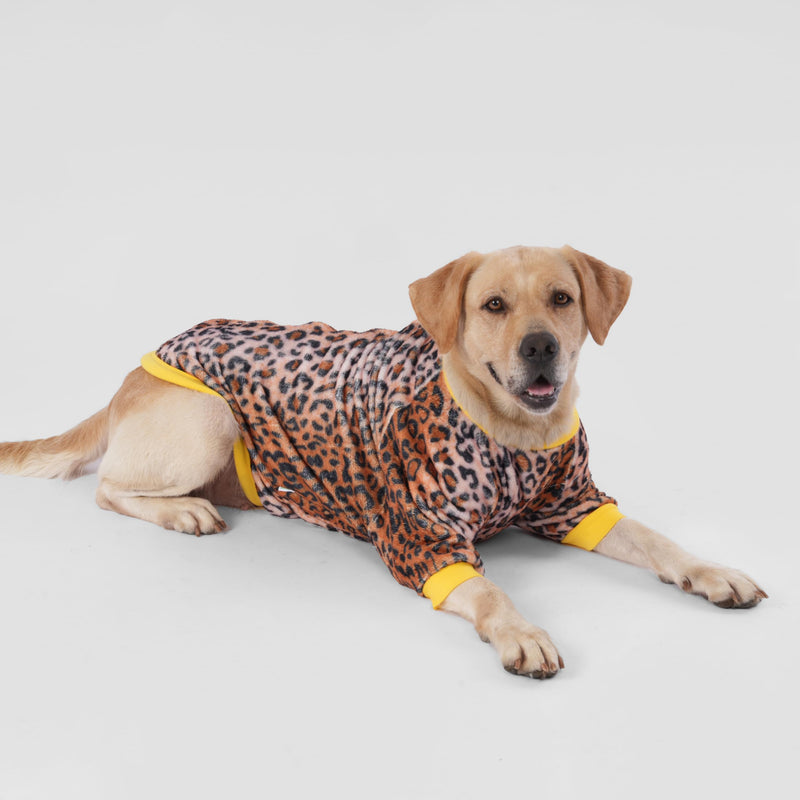 LovinPet Pet Jackets for Large Dogs - Lightweight Warm Pet Coats, Skin-Friendly Flannel Fabric Clothes for Pitbull, Loquat Rough Leopard Prints, Warm Dog Clothes for Pitbull Breeds,Brown 2XL - PawsPlanet Australia