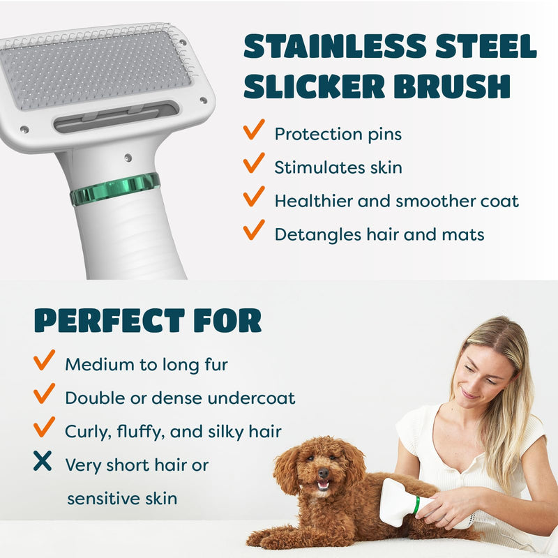 Dog Hair Dryer | 2 in 1 Pet Groomer with Slicker Brush | Adjustable Temperature, Portabale, Quiet | For Small & Medium Dogs & Cats