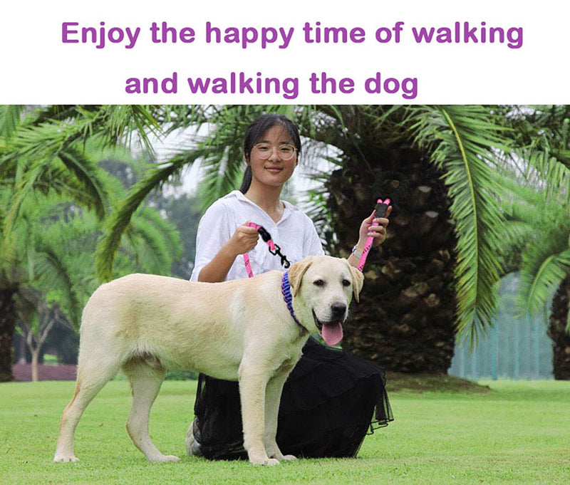 Sunglow 5 FT Strong Dog Leash with Comfortable Padded Handle and Highly Reflective Threads for Medium and Large Dogs (Black) Black - PawsPlanet Australia