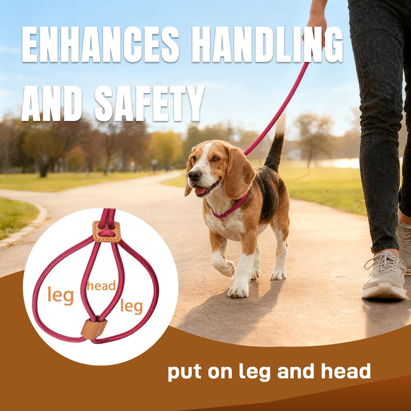 Slip Leads for Dogs, No Pull Rope Dog Harness, Collar Leash and Harness All in One, Adjustable Pet Training Lead for Walking, Dog Leashes for Small Medium Large Dogs, 5ft Red - PawsPlanet Australia