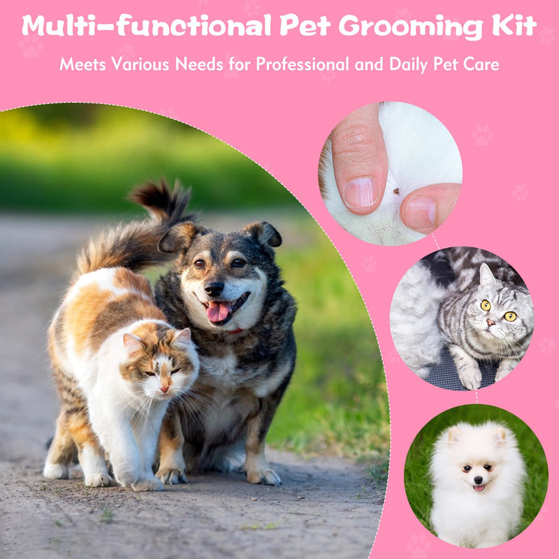 6-Pack Flea Comb for Dogs and Cats, Fine & Wide Tooth Stainless Steel Lice Comb, Tick Removal Tool, Tear Stain Remover, Dematting Brush - Professional Pet Grooming Kit for All Types of Pets - PawsPlanet Australia
