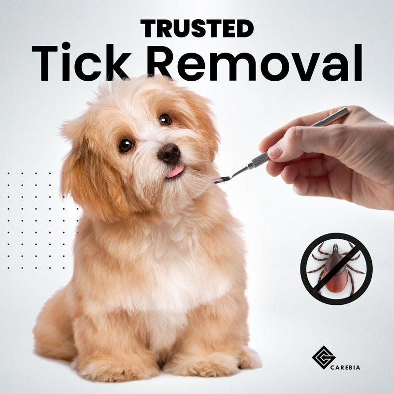 Stainless Steel Dog Tick Remover Tool Set of 3 - Pet, Cats and Dogs Tick Removal Kit - Tick Remover Tool for Humans & Pets with Precision Fine Point Tip, Twister Tweezers, Pullers with Metal Case - PawsPlanet Australia