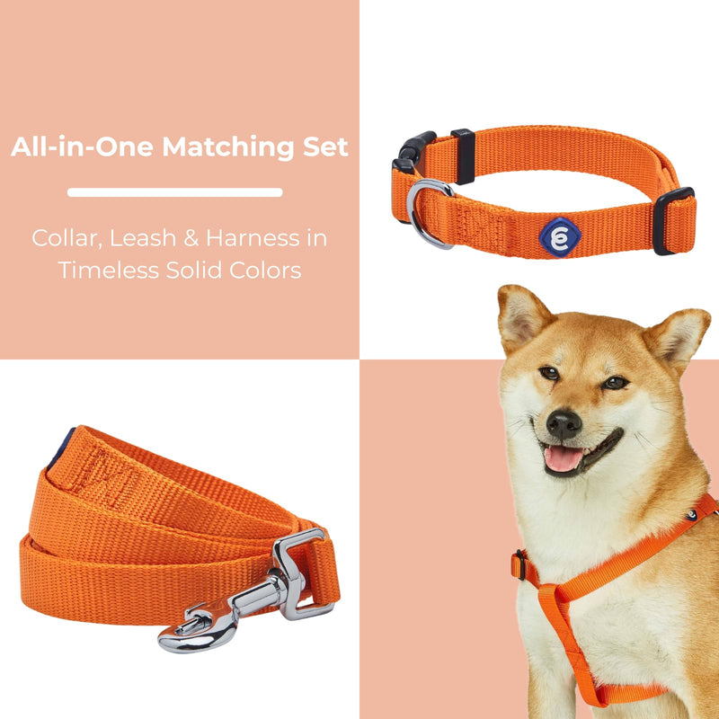 Blueberry Pet Essentials Dog Harness and Leash Set - Large Orange Vermilion Dog Collar and Leash Set for Eco-Conscious Owners, Adjustable, Durable, 4 ft Leash, Ideal for Active Pet Parents Orange Vermilion - Collar + Leash + Harness - PawsPlanet Australia