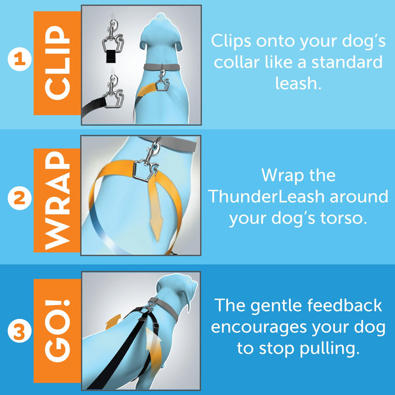 Thunder Leash, Large L