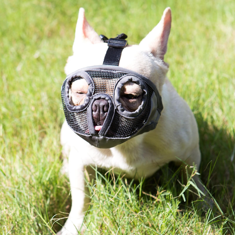 Short Snout Dog Muzzles- Bulldog Muzzle Breathable Mesh Dog Mask for Biting Chewing Training Licking Grooming (Gray, XL（Head 18.1-25") Gray XL（Head 18.1-25") - PawsPlanet Australia