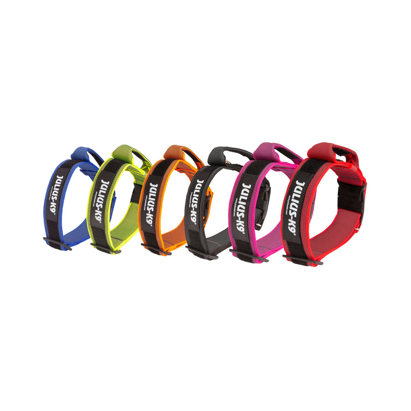 Julius-K9 Color and Gray Collar with Handle and Interchangeable Patch, 50 mm (49-70 cm), Red-Gray - PawsPlanet Australia