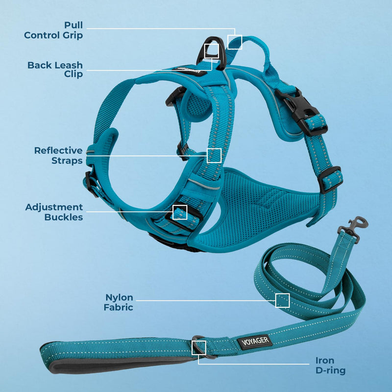 Voyager Dog Harness Dual Leash Attachment No-Pull Control Adjustable Soft but Strong Pet Harness for Medium and Large Dogs with 3M Reflective Technology, Leash Set Turquoise Nylon, S (Chest: 16-20") S (Chest: 16 - 20") - PawsPlanet Australia